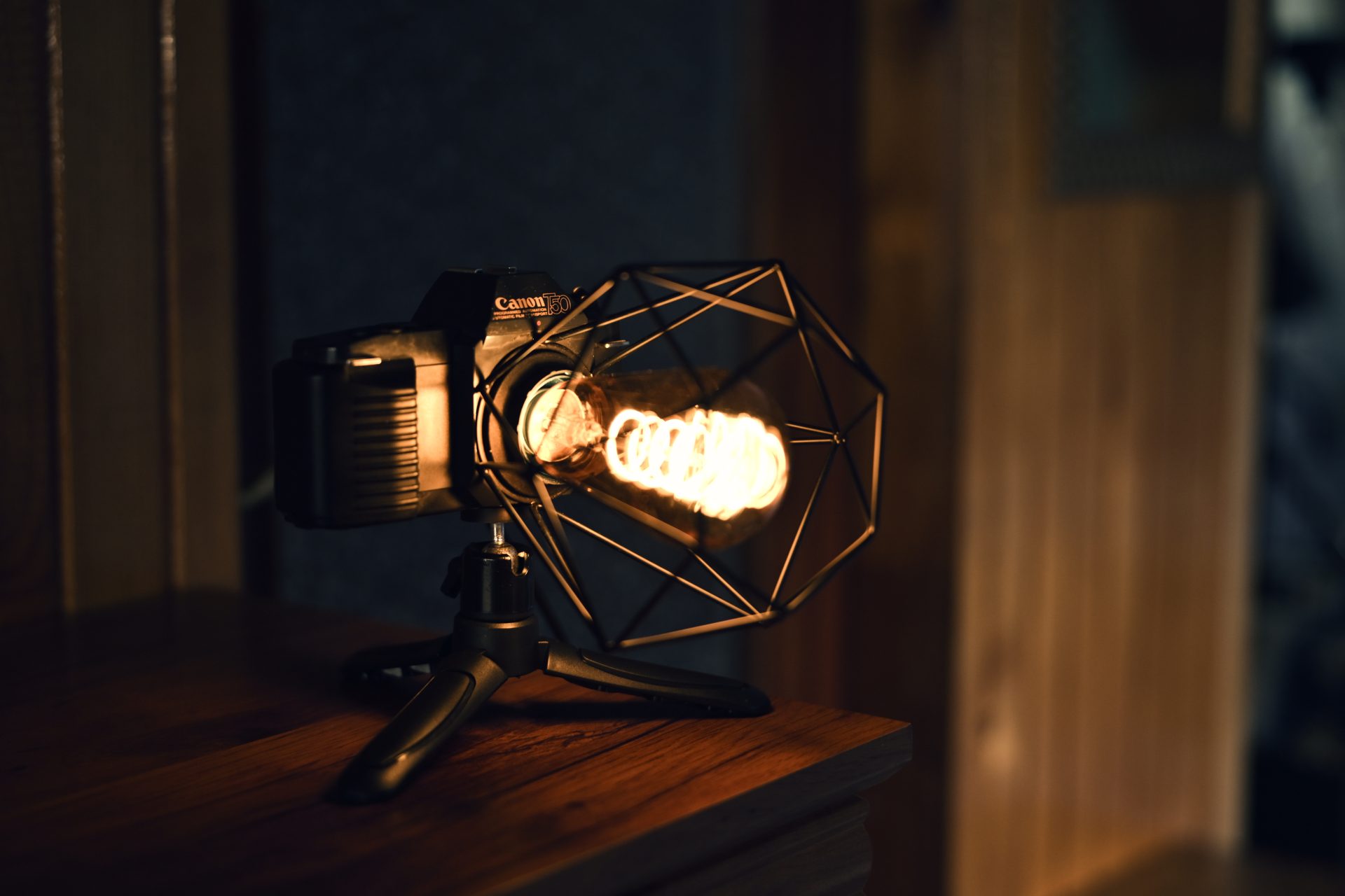 Canon T50